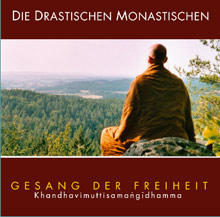 Cover: Die drastischen Monastischen