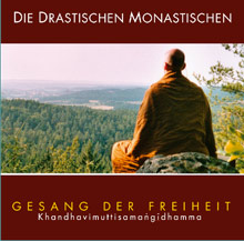 Cover: Die drastischen Monastischen
